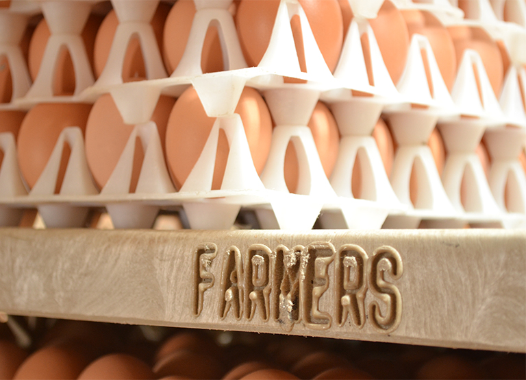 Farmer's Hen House Egg Holder