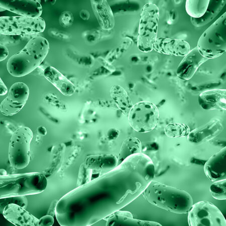 Bacteria Direct Banner Image