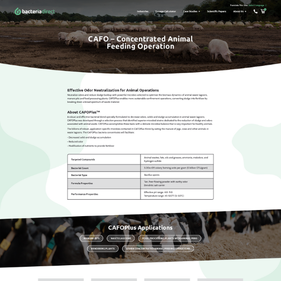 bacteria direct website cafo page